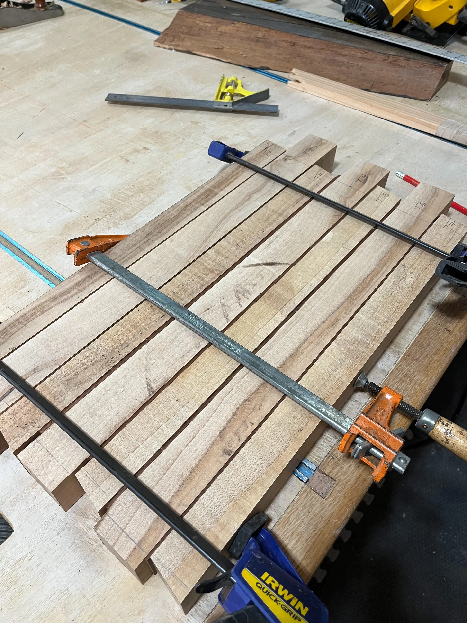 Raw sugar maple slab with live edge on the table saw, ruler nearby for a rough cut