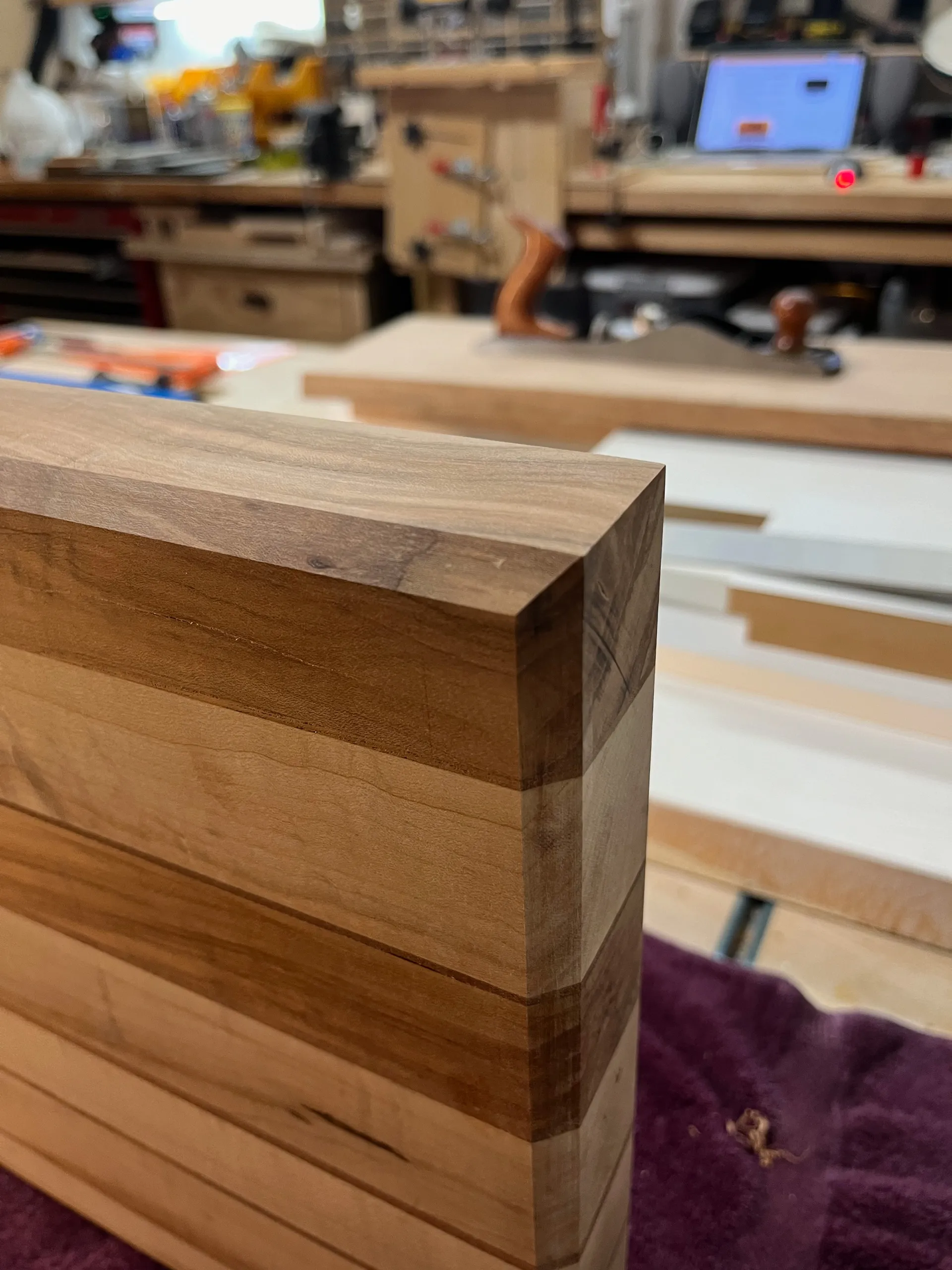 Sugar maple and mahogany striped board clamped for glue-up during assembly